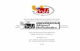 Universidad Miguel Hernández de Elche.dspace.umh.es/bitstream/11000/2696/1/Tesis Verissimo Coelhoso, F.pdf · Tabela 19 – Fatores da escala de Young ... cuestionario de resiliencia