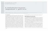 Linfadenectomia inguinal e pélvica - Dr Leandro Koifmankoifmanurologia.com.br/wp-content/uploads/2016/09/LIVRO_Urologia... · 1234 Capítulo 137 Linfadenectomia inguinal e pélvica