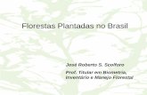 Florestas Plantadas no Brasil - CIFlorestas - Centro de … · 2015-09-29 · América do Norte 27.859 14 1.190 2 29.049 ... Carvão 21.385 0 21.385 19.388 0 19.388 lenha Industrial