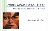 População Brasileira: Distribuição Espacial e Etniassistema.deltacolegio.com.br/upload/1003201310336_popbras.pdf · Etnias do Brasil –IBGE Brancos ... parcela de áreas (36,7%