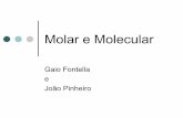 Molar e Molecular - Inicial — UFRGS · Cartografias X Molar / Molecular A pegada guarda o caráter enrijecido e estático da molaridade. Contudo, se acompanharmos a obra de baixo