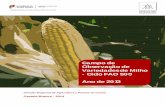 RESULTADOS CAMPO VARIEDADES DE MILHO€¦ · O herbicida manifestou elevada selectividade para a planta do milho. 8. Amontoa do milho A amontoa foi realizada no dia 26/06/2013. 9.