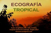 TROPICAL - sonomir.files.wordpress.com · Ecografia tropical é estudo mais estendido e mais prolongado devido a presença de grande número de patologias diferentes em doenças tropicais.