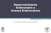 Desenvolvimento Embrionário e Anexos Embrionáriosprofessor.pucgoias.edu.br/SiteDocente/admin/arquivosUpload/15347... · Atlas de Histologia Funcional. Artes Médicas, Porto Alegre,