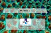 Genética Humana - jvasconcellos.com.brjvasconcellos.com.br/fat/wp-content/uploads/2012/04/Aula-05.pdf · Revendo Mitose •Importância Apenas uma etapa do ciclo celular; Gera um