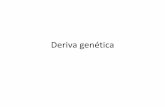 Deriva genética - docs.ufpr.brlehtonen/populacoes/03aDerivagenetica.pdf · DERIVA GENÉTICA ALEATÓRIA E AMOSTRAGEM BINOMIAL •Considere uma população grande, em equilíbrio de