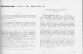 acta.inpa.gov.br · 1960 — Glossário dos têrmos usados em anatomia de madeiras. Rio de Janeiro, Irm. Di Giorgio & Cia. Ltda. 19-20. tes em um dos extremos do raio (raramente).
