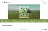 Desmatamento e Outros Impactos Ambientais …pages.cnpem.br/sucre/wp-content/uploads/sites/62/2017/12/7-Thayse... · üDiminuição das emissões de GEE associadas à matriz ... ,
