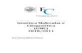 Genética Molecular e Citogenética (GMC) 2010/2011€¦ · Genética Molecular e Citogenética (2010-2011) Ana Cristina Ribeiro Gomes 2 CITOGENÉTICA – Cromatina e Cromossoma Mitose