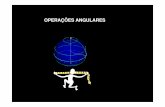 AULA 2 NAV - pilotomaster.com.brpilotomaster.com.br/materias/pp/resumo_navegacao2.pdf · Ao longo de um paralelo ou do Equador são lidas as: a) latitudes b) longitudes c) isogônicas