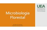 Microbiologia Florestal - … · • Microbiologia ambiental • Microbiologia de alimentos • Microbiologia veterinária • Microbiologia agrícola/florestal • Microbiologia
