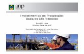 Investimentos em Prospecção: Bacia do São Francisco€¦ · Levantamento Sísmico 2D - 154 km (MG) Levantamento Geoquímico - 545 unidades (MG) Operadora do Bloco Investimento