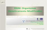 OGM- Organismos Geneticamente Modificados - … · OGM: Instalações Físicas • Projetos de laboratório não são receitas únicas padronizáveis. • O projeto deve obedecer