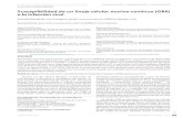 Susceptibilidad de un linaje celular murino continuo …scielo.iec.gov.br/pdf/rpas/v2n2/es_v2n2a09.pdf · method) para cuantificar la infectividad viral. Diluciones logarítmicas