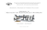 (Módulo 3) Operações de Separação por Destilaçãosistemas.eel.usp.br/docentes/arquivos/5817066/93/modulo03.pdf · realiza-se por etapas, ... (Ctrl N), da base de dados do HYSYS