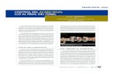 CONTROL DEL ÁCARO ROJO: LUZ AL FINAL DEL …seleccionesavicolas.com/pdf-files/2007/12/3683-control-del-acaro... · El D. gallina e es un ectoparásito que se ha descrito en 30 especies