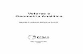Vetores e Geometria Analítica - Portal  · PDF fileVetores e Geometria Analítica São Cristóvão/SE 2007 Gastão Florêncio Miranda Junior