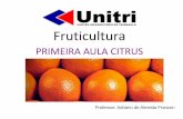 Fruticultura - agrofuturomil.files.wordpress.com · Entretanto aqui, com melhores condições para vegetar e produzir do que nas próprias regiões de origem, as citrinas se expandiram