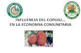 INFLUENCIA DEL COPOAZU EN LA ECONOMIA … · INFLUENCIA DEL COPOAZU EN LA ECONOMIA COMUNITARIA. Desarrollo agroindustrial y nutrición en la Amazonía: ... demanda. CONTENIDO NUTRICIONAL
