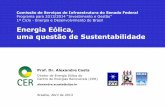 Energia Eólica, uma questão de Sustentabilidade · Comissão de Serviços de Infraestrutura do Senado Federal Programa para 2013/2014 “Investimento e Gestão” ... Guia Projeto