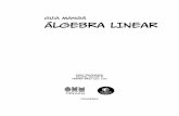 Guia Mangá ÁLGebra Linear - s3.novatec.com.br · Uma visão geral de álgebra linear ... Nem todas as “regras para ordenamento” são funções ...
