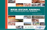 na produção de suínos - agricultura.gov.br · Bem-estar animal na produção de suínos Toda GranJa Brasília, 2016 Serviço Brasileiro de Apoio às Micro e Pequenas Empresas -