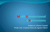 Anderson Chaves Carniel Profa. Dra. Cristina Dutra de ...wiki.icmc.usp.br/images/4/42/SCC0245022017MDXc.pdf · Introdução yConceitos importantes: yCube (CUBO) é o elemento mais