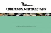 MORCEGOS NEOTROPICAIS - sbe.com.br  · PDF filePertencem à ordem Chiroptera, ... na percepção e perseguição dos insetos ... vôo o morcego necessita de uma grande capacidade