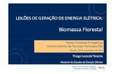 LEILÕES DE GERAÇÃO DE ENERGIA ELÉTRICA · LEILÕES DE GERAÇÃO DE ENERGIA ELÉTRICA: Biomassa Florestal Empresa de Pesquisa Energética Ministério de Minas e Energia Thiago