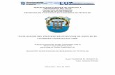EVALUACION DEL PROCESO DE INYECCION DE …tesis.luz.edu.ve/tde_arquivos/99/TDE-2014-09-30T09:55:47Z-5235/... · repÚblica bolivariana de venezuela universidad del zulia facultad