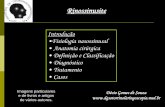Rinossinusite - dgsotorrinolaringologia.med.br · Sinais sugestivos de rinossinusite bacteriana . ... Citologia nasal e biópsia 5) Função mucociliar ... Slide 1 Author: Dr. Décio