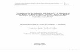 “Determinación del potencial hidráulico del río Blanco …repositorio.uchile.cl/tesis/uchile/2010/aq-podlech_f/pdfAmont/aq... · I. PLANTEAMIENTO DEL PROBLEMA 1.1 Contexto General: