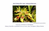 NUTRIÇÃO DE ORQUÍDEAS - Biofert · Relatos sobre o cultivo de orquídeas datam de mais de 2.000 anos AC e foram encontrados no extremo oriente. As primeiras tentativas de cultivo