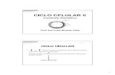 CICLO CELULAR - biologia.bio.br celular II.pdf · O ciclo celular compreende o conjunto de transformações pelas quais a célula passa desde a sua formação até sua divisão ou