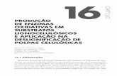 CAPÍTULO PRODUÇÃO DE ENZIMAS OXIDATIVAS …pdf.blucher.com.br.s3-sa-east-1.amazonaws.com/openaccess/... · Diversos setores da produção industrial que incluem os sistemas de