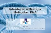 Introdução a Biologia Molecular: DNA - …jvasconcellos.com.br/fat/wp-content/uploads/2012/08/Aula-092.pdf · ABR/2011 Introdução a Biologia Molecular: DNA Nutrição Prof. João