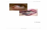 2. Órbita - antonioramalho.com. ÓRBITA.pdf · ANOMALIAS ÓSSEAS ... Consiste na protusão do globo ocular, anómala, quando o apex corneano se situa a mais de 18 mm do rebordo orbitário