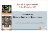 Beef Expo 2016 - aveworld.com.braveworld.com.br/relatorio/be327db6a5f864d5cdbcb054499dd556.pdf · Beef Expo 2016 São Paulo, SP Métricas Reprodutores Taurinos. Quem somos ... Apresentação