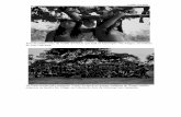 Foto de índias nuas, de Valdir Zwetsch, que está na ... · Fotos tiradas na década de 70 pelo fotógrafo Valdir Zwetsch no parque indígena do Xingu mostram rotina dos índios