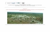 Anexo 3 Fotos de áreas do Pantanal consideradas …d3nehc6yl9qzo4.cloudfront.net/downloads/anexo_3_conservando_pa... · Anexo eletrônico da cartilha Conservando pastagens e paisagens
