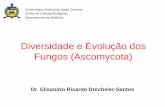 Diversidade e Evolução dos Fungos (Ascomycota) · Diversidade e Evolução dos Fungos (Ascomycota) Dr. Elisandro Ricardo Drechsler-Santos Universidade Federal de Santa Catarina