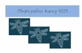 Thrips palmi, Karny 1925 - ADAPAR€¦ · mm de comprimento no máximo. ... (1 m de fileira de cultivo), sobre uma placa ou bandeja de coloração contrastante e avaliar a quantidade