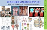 Semiologia Ortopédica Pericial - ufrgs.br · 4- Níveis de amputação e soluções protéticas para os membros inferiores 5- Amputations and Prosthetics of the Upper Limb 6- Micro
