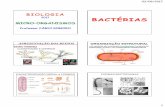 BACTÉRIAS - Colégio Ser - Homecolegioser.com.br/uploads/atividades/micro-organismos-2017.pdf · proliferam dentro exclusivamente para produzir novos vírus.da célula ... Qual é