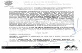 ACTA DE SESIÓN 095/2015 DEL COMITÉ DE …transparencia.mazatlan.gob.mx/descarga/Licitaciones/Actas del... · SEGUNDO.- se propone a la consideración del comité para su análisis