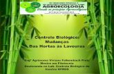 Controle Biológico: Mudanças Das Hortas às Lavouras · CB Aumentativo e Clássico Métodos de Controle Biológico 7 Manejar diretamente os inimigos naturais Aumentar a população