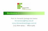 Botânica I - .: Fernando Santiago dos Santos - PÁGINA ... · filamentosa na qual a única maneira de se reproduzir ... Ao lado : Ulva , uma alga verde comum no litoral; acima :