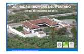 JORNADAS TÉCNICAS DEL PLÁTANO - agrocabildo.org 2.pdf · Servicio de Agricultura del Cabildo Insular de Tenerife JORNADAS TÉCNICAS DEL PLÁTANO ... CE mezcla = [(CE/Q 1) + (CE/Q