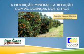 A NUTRIÇÃO MINERAL E A RELAÇÃO COM AS …brasil.ipni.net/ipniweb/region/brasil.nsf... · celulares, ruptura de membrana e inibição de enzimas dos ... Degradação oxidativa