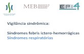 Vigilância sindrômica: Síndromes febris ictero ...epi.uff.br/wp-content/uploads/2013/08/aula-vig-sindromica-2-2017... · BRASIL • Síndromes selecionadas no Plano de Ação para